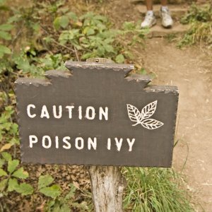 Poison Ivy Treatment Specialist Near Me in Cromwell CT, East Haven CT, Ellington CT, Newington, CT, Oxford, CT, Unionville CT and Wallingford, CT.